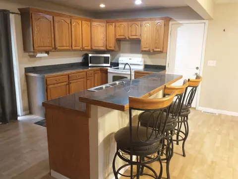 403 Cedar St, Delavan, IL 61734 photo 9