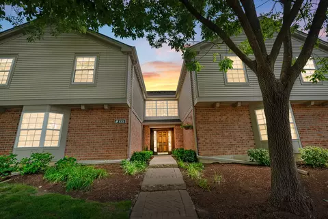 122 Willow Brook Ct #10, Schaumburg, IL 60195