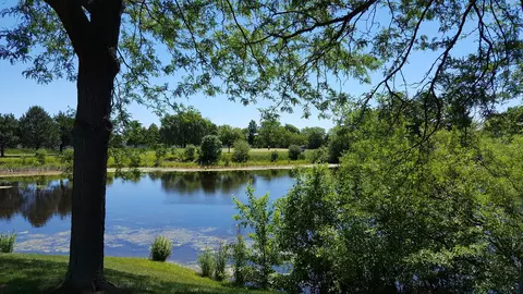 View/Area - 116 Riverside Dr, Deerfield, IL 60015 photo 3 of 5