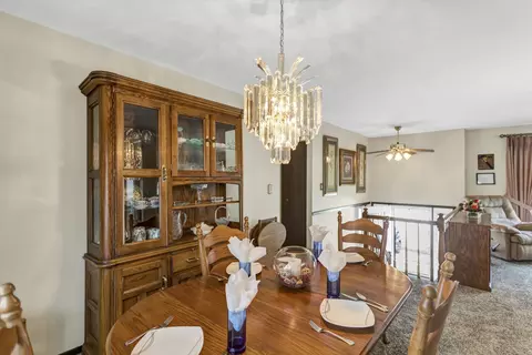 825 Case Dr, Roselle, IL 60172 photo 8