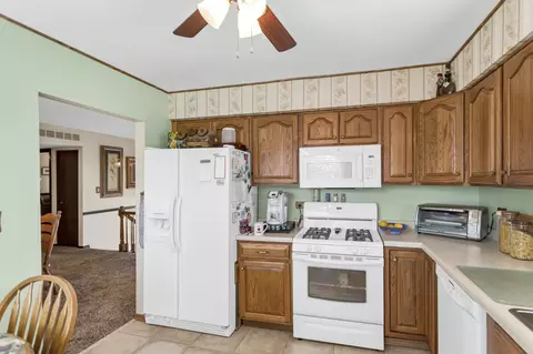825 Case Dr, Roselle, IL 60172 photo 11