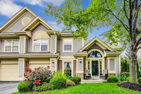 711 Deep Wood Ct #0, Elk Grove Village, IL 60007