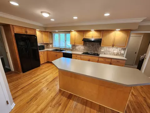 518 N Forest Dr, Addison, IL 60101 photo 8