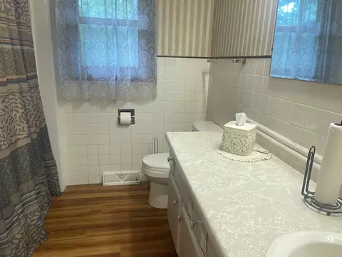 9 Ladd Ln, Spring Valley, IL 61362 photo 30