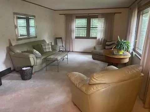 9 Ladd Ln, Spring Valley, IL 61362 photo 11