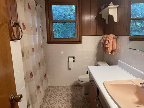 9 Ladd Ln, Spring Valley, IL 61362 photo 33