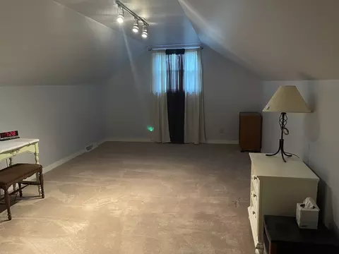 9 Ladd Ln, Spring Valley, IL 61362 photo 37