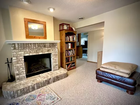 395 Twilight Dr, Morris, IL 60450 photo 38
