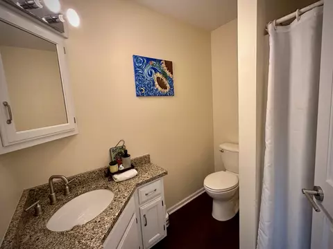 395 Twilight Dr, Morris, IL 60450 photo 22