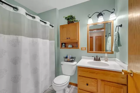 17164 Alpine St, Lockport, IL 60441 photo 13