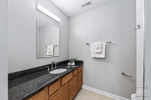 755 Eagle Brook Ln, Naperville, IL 60565 photo 27