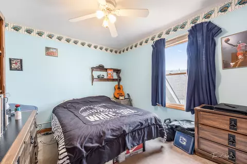 4603 Metcalf Ct, Plainfield, IL 60586 photo 19
