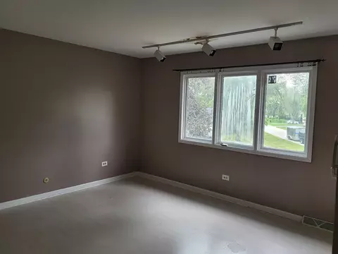 20500 Parthenon Way, Olympia Fields, IL 60461 photo 10