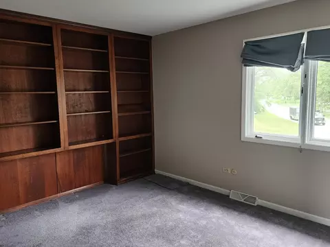 20500 Parthenon Way, Olympia Fields, IL 60461 photo 8