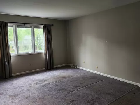 20500 Parthenon Way, Olympia Fields, IL 60461 photo 7