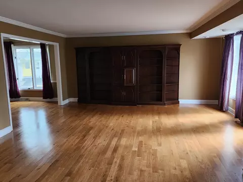 20500 Parthenon Way, Olympia Fields, IL 60461 photo 2