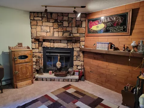 Other - 1845 W 35th St, Steger, IL 60475 photo 7 of 9