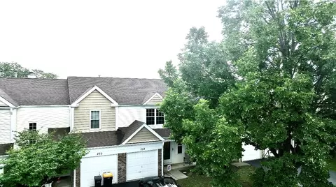 233 E Shag Bark Ln, Streamwood, IL 60107 photo 1
