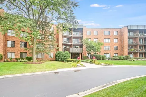 950 E Wilmette Rd #117, Palatine, IL 60074