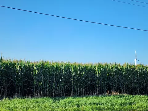2250 E Cr 1100 Rd E, Carlock, IL 61725 photo 7