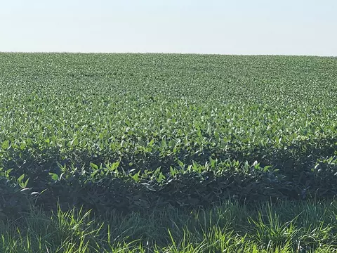 2250 E Cr 1100 Rd E, Carlock, IL 61725 photo 3