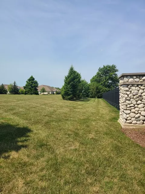 3850 W Traditions Dr, Olympia Fields, IL 60461 photo 4