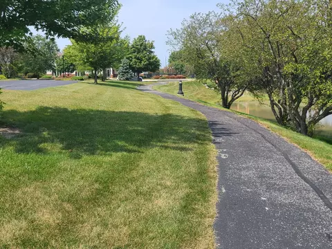 3850 W Traditions Dr, Olympia Fields, IL 60461 photo 13