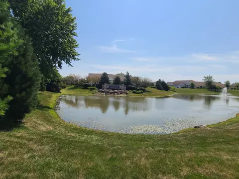 3850 W Traditions Dr, Olympia Fields, IL 60461 photo 2
