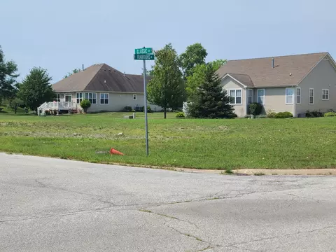 3850 W Traditions Dr, Olympia Fields, IL 60461 photo 9