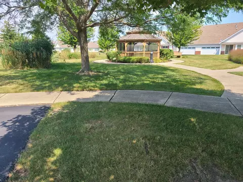 3850 W Traditions Dr, Olympia Fields, IL 60461 photo 7