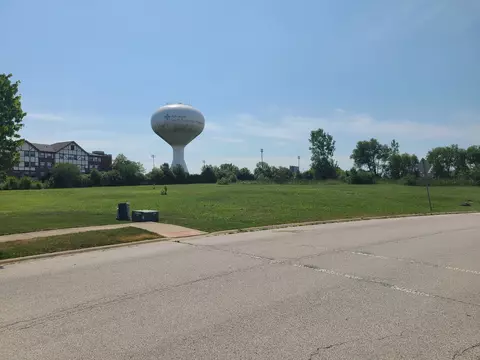 3850 W Traditions Dr, Olympia Fields, IL 60461 photo 8
