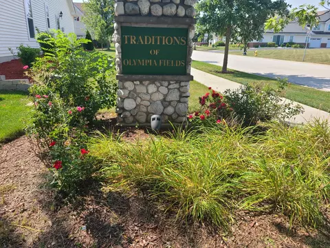3850 W Traditions Dr, Olympia Fields, IL 60461 photo 3