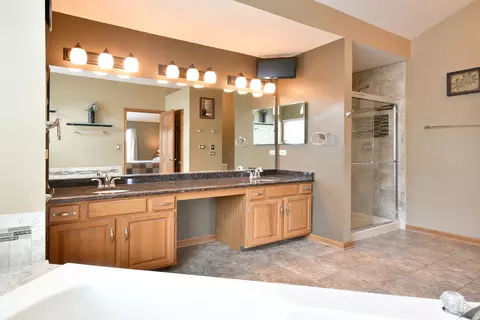Bath - 223 Sangamon Ct, Bartlett, IL 60103 photo 4 of 6