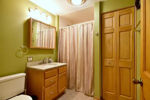 Bath - 223 Sangamon Ct, Bartlett, IL 60103 photo 6 of 6
