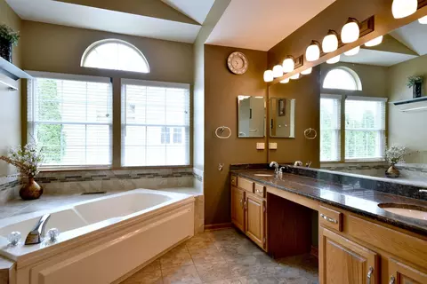 Bath - 223 Sangamon Ct, Bartlett, IL 60103 photo 3 of 6