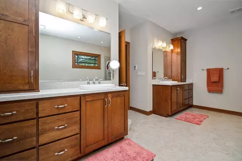 Bath - 24401 S Pine Ridge Dr, Monee, IL 60449 photo 1 of 5