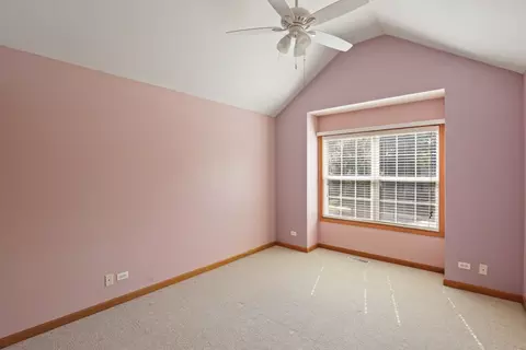 55 W Chestnut Ct, Elgin, IL 60120 photo 24
