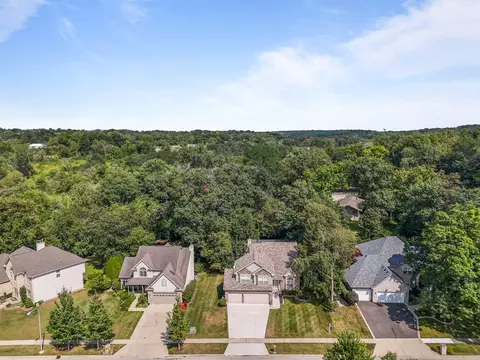 55 W Chestnut Ct, Elgin, IL 60120 photo 6