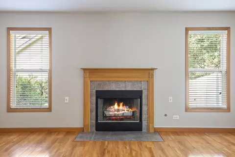 55 W Chestnut Ct, Elgin, IL 60120 photo 12