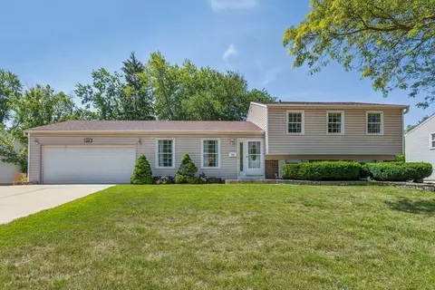 228 N Braintree Dr, Schaumburg, IL 60194