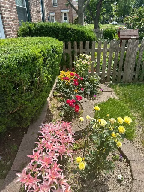 Exterior - 1691 White St, Des Plaines, IL 60018 photo 8 of 12