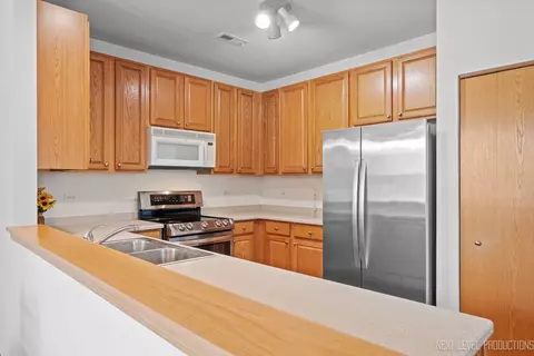 2637 Amber Ln, Algonquin, IL 60102 photo 4
