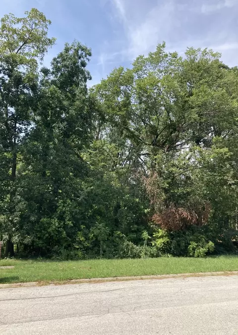 21422 Plank Trail Dr, Frankfort, IL 60423