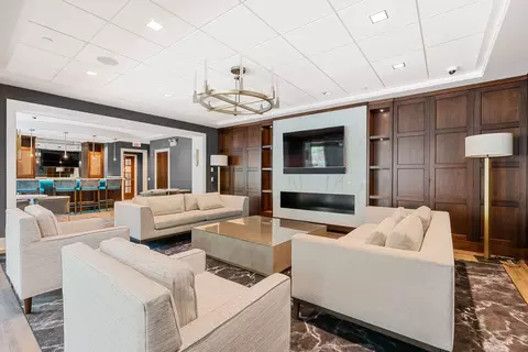 Living - 57 E Delaware Pl #1801, Chicago, IL 60611 photo 2 of 3