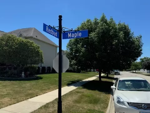 View/Area - 294 Maple St, Beecher, IL 60401 photo 1 of 10