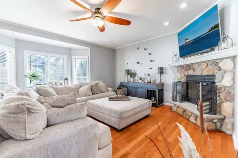 Living - 294 Maple St, Beecher, IL 60401 photo 1 of 1