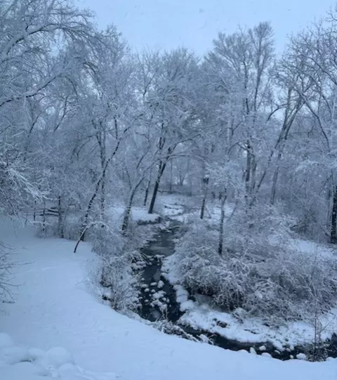 Other - 911 5 Melugins Grove Rd, Compton, IL 61318 photo 15 of 17