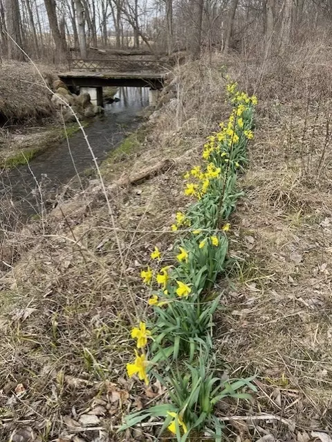 Other - 911 5 Melugins Grove Rd, Compton, IL 61318 photo 12 of 17