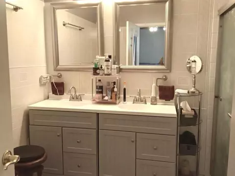 Bath - 21137 W Cypress Ct, Plainfield, IL 60544 photo 1 of 3