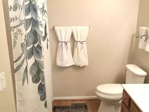 Bath - 21137 W Cypress Ct, Plainfield, IL 60544 photo 2 of 3